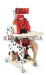 Ортопедический вертикализатор DALMATIAN INVENTO - Фото 2